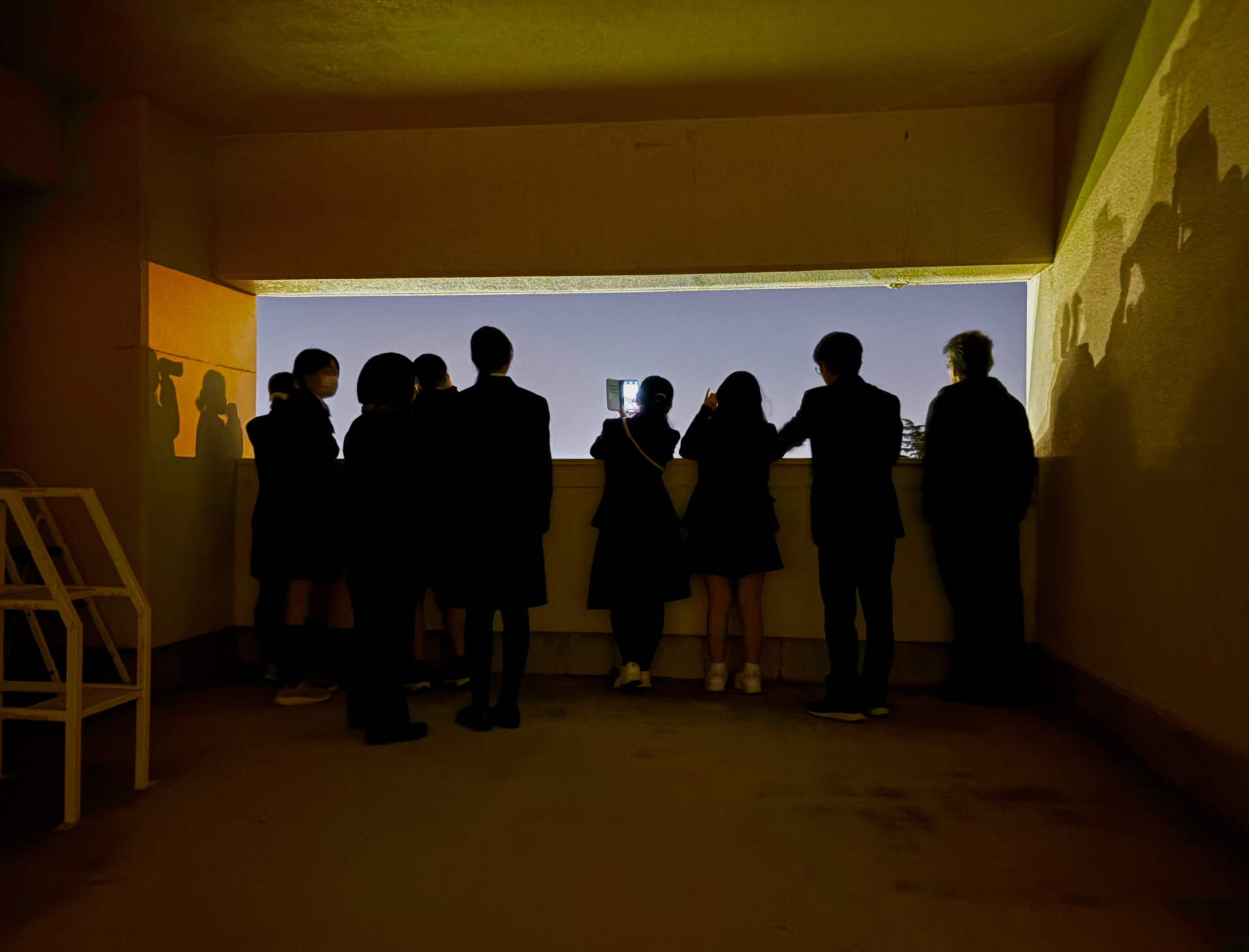 Image - 2025-11-18T120820.351